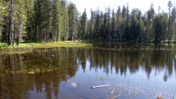 (2017-07-02-036) USA - Yosemite - Tioga Road